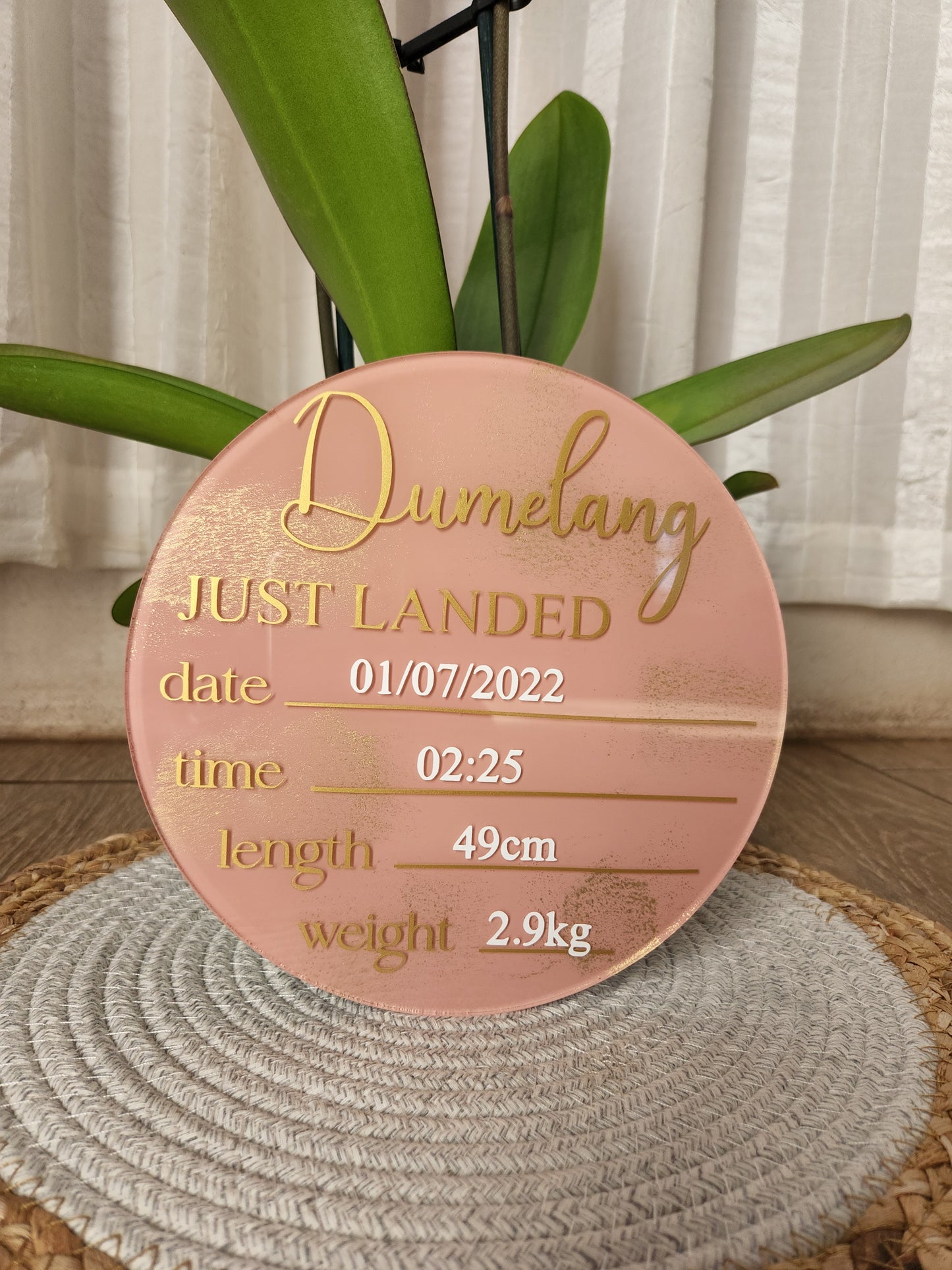 Painted acrylic and vinyl birth announcement disc