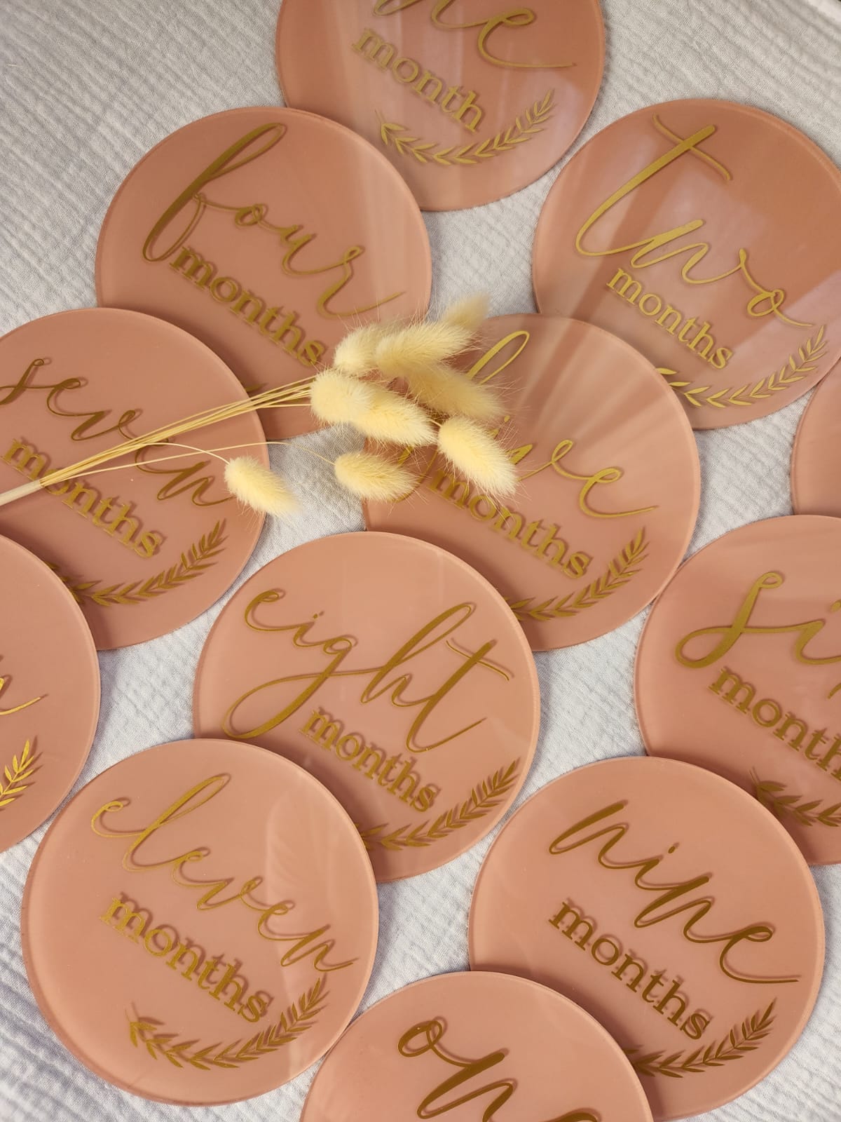 Painted Acrylic and Vinyl Monthly Milstone set