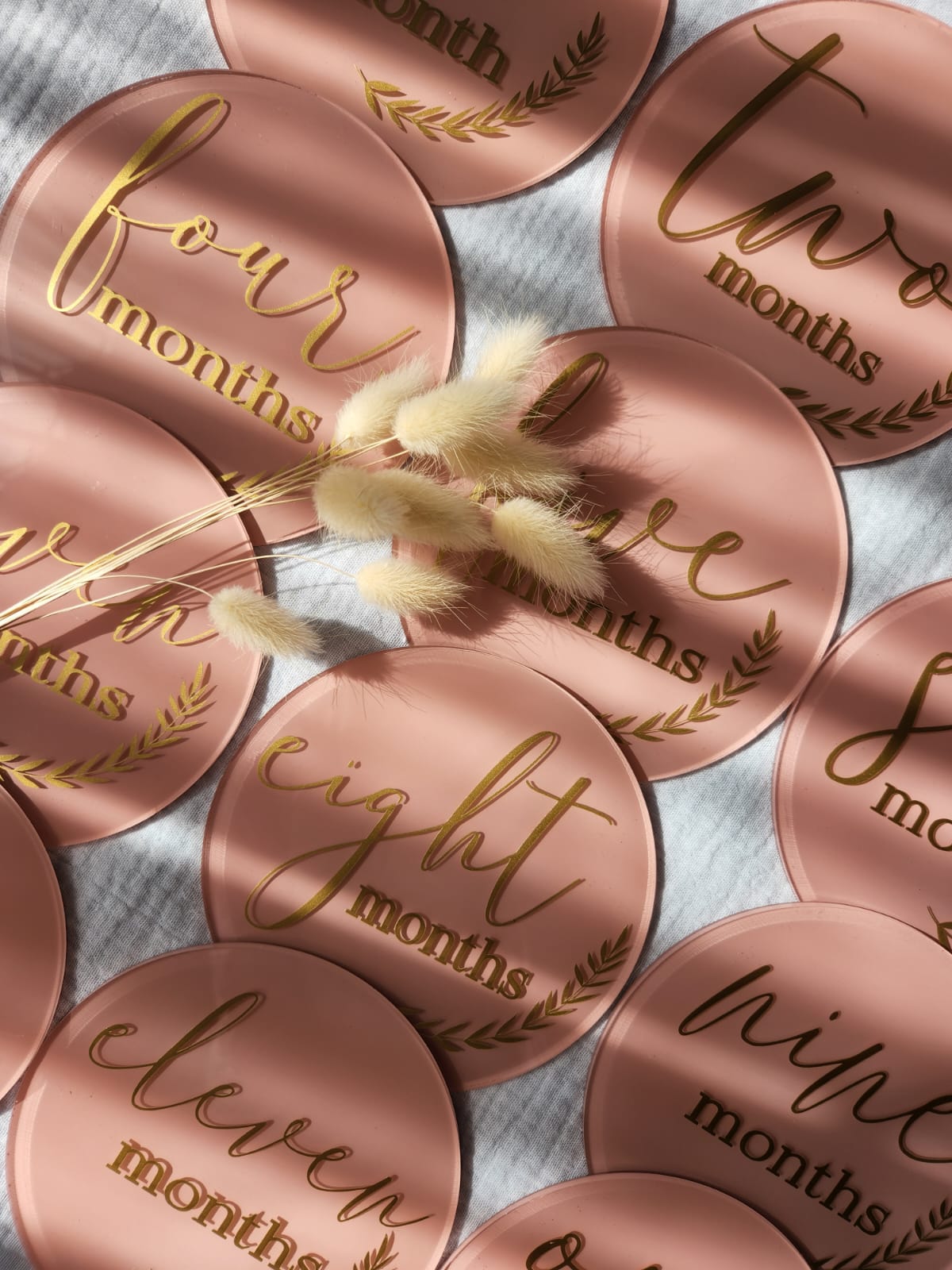 Painted Acrylic and Vinyl Monthly Milstone set