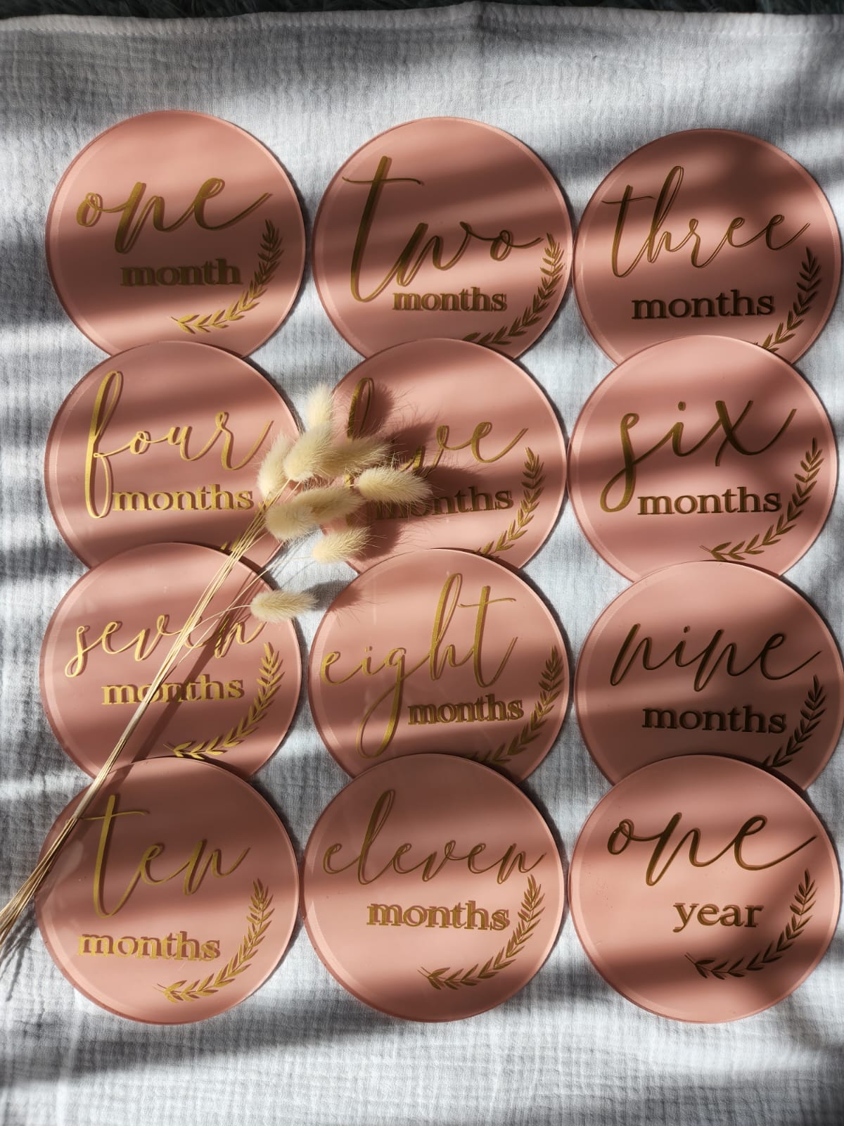 Painted Acrylic and Vinyl Monthly Milstone set