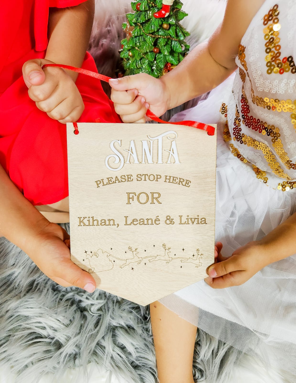 Santa Please Stop Here